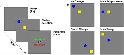 Cannabis use is associated with sexually dimorphic changes in executive control of visuospatial decision-making